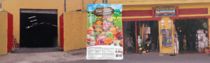Leia mais sobre o artigo Terra Vegetal Cianex